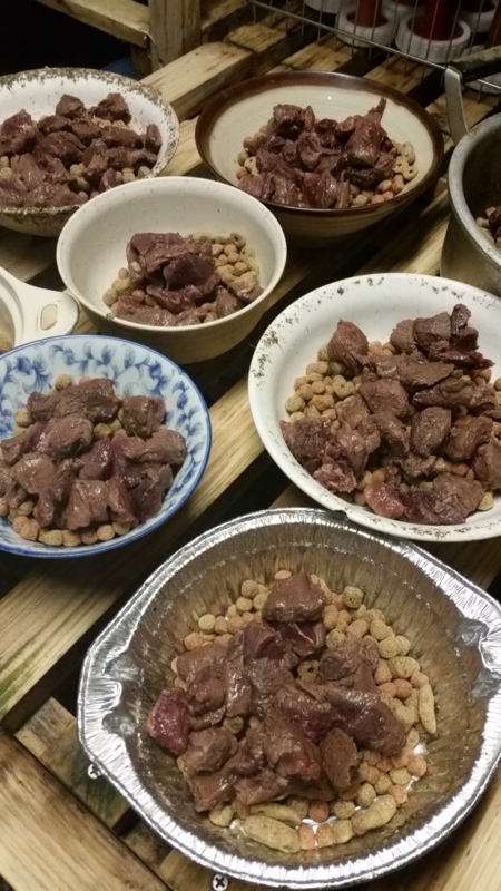 f:id:zion_hamanaka:20141224194418j:image