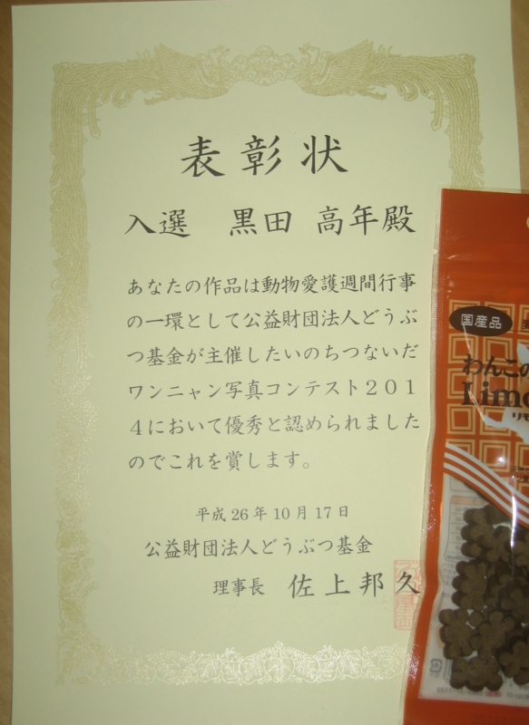 f:id:zion_hamanaka:20141224212623j:image