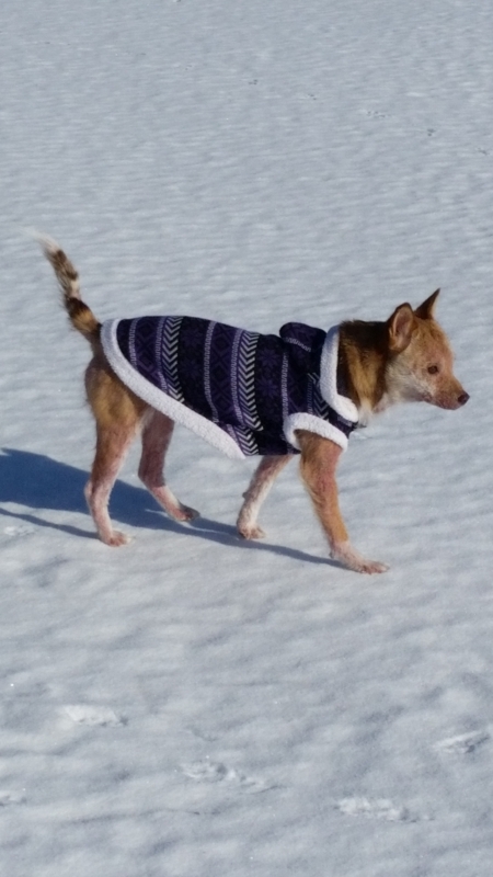 f:id:zion_hamanaka:20141225112122j:image