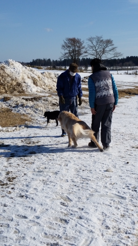 f:id:zion_hamanaka:20141228115052j:image