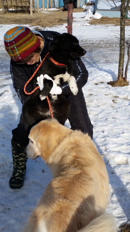 f:id:zion_hamanaka:20141228124132j:image