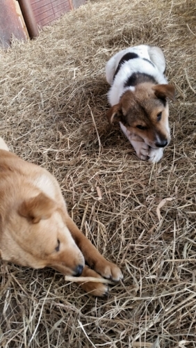 f:id:zion_hamanaka:20150107135737j:image f:id:zion_hamanaka:20150107135737j:image