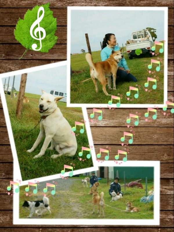 f:id:zion_hamanaka:20150115141443j:image f:id:zion_hamanaka:20150115141443j:image