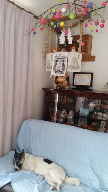 f:id:zion_hamanaka:20150116084525j:image