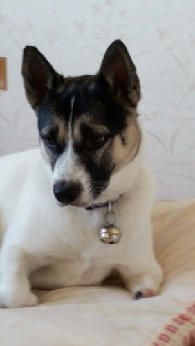 f:id:zion_hamanaka:20150120134513j:image