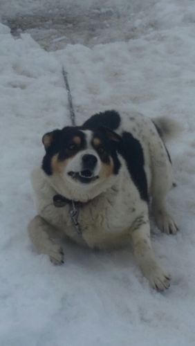 f:id:zion_hamanaka:20150222145456j:image