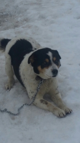 f:id:zion_hamanaka:20150222145459j:image