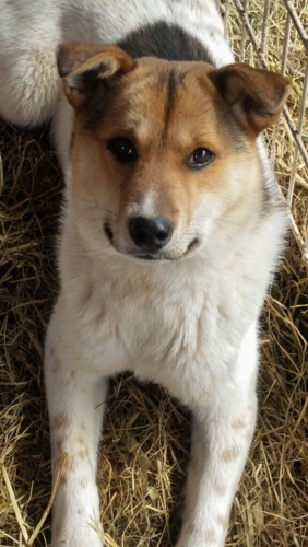 f:id:zion_hamanaka:20150328124226j:image f:id:zion_hamanaka:20150328124226j:image