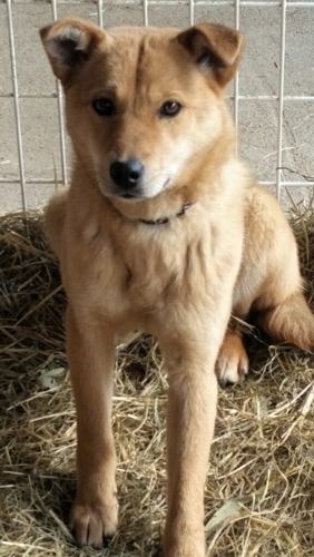 f:id:zion_hamanaka:20150328124229j:image f:id:zion_hamanaka:20150328124229j:image