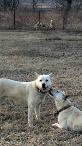 f:id:zion_hamanaka:20150412171335j:image f:id:zion_hamanaka:20150412171335j:image