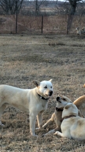 f:id:zion_hamanaka:20150412171336j:image