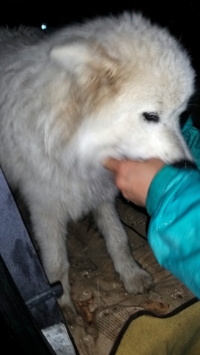 f:id:zion_hamanaka:20150415191952j:image f:id:zion_hamanaka:20150415191952j:image