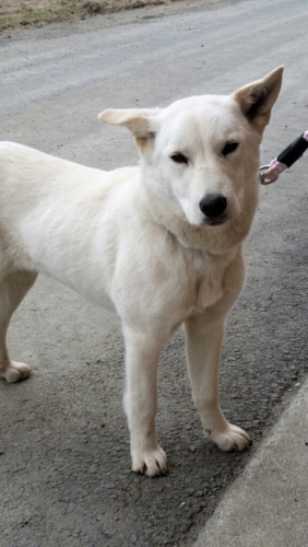 f:id:zion_hamanaka:20150420115745j:image