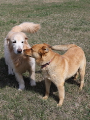 f:id:zion_hamanaka:20150502133816j:image