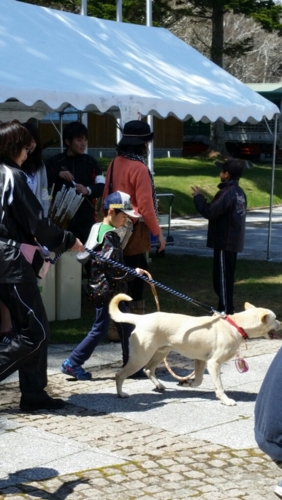 f:id:zion_hamanaka:20150506121524j:image f:id:zion_hamanaka:20150506121524j:image