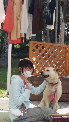 f:id:zion_hamanaka:20150506134106j:image f:id:zion_hamanaka:20150506134106j:image