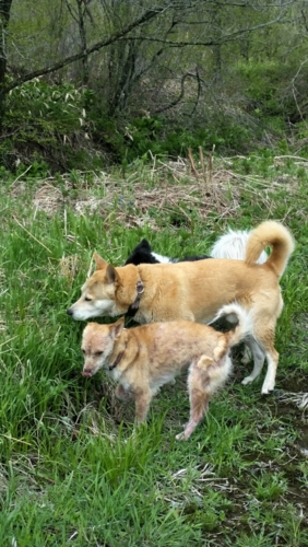 f:id:zion_hamanaka:20150516115243j:image f:id:zion_hamanaka:20150516115243j:image