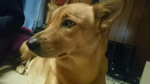 f:id:zion_hamanaka:20150519214101j:image f:id:zion_hamanaka:20150519214101j:image