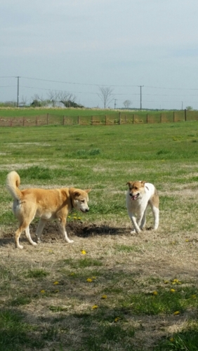 f:id:zion_hamanaka:20150523080153j:image