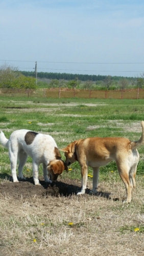 f:id:zion_hamanaka:20150523082554j:image