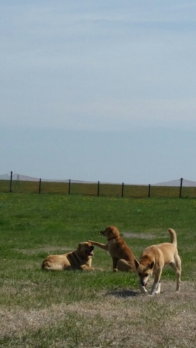 f:id:zion_hamanaka:20150523082729j:image