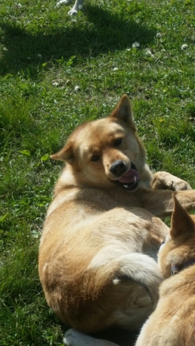 f:id:zion_hamanaka:20150611151232j:image