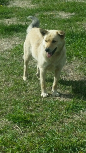 f:id:zion_hamanaka:20150611153250j:image