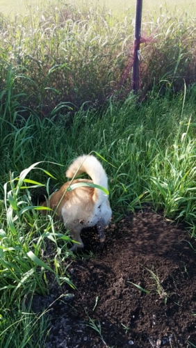 f:id:zion_hamanaka:20150618161939j:image