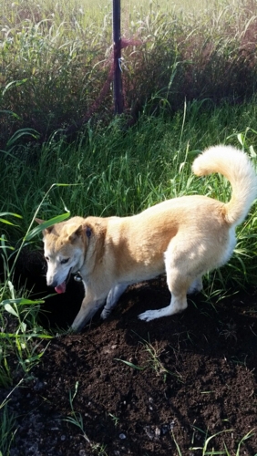 f:id:zion_hamanaka:20150618161946j:image