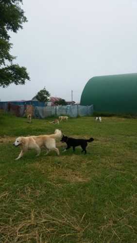 f:id:zion_hamanaka:20150718160545j:image