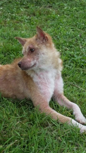 f:id:zion_hamanaka:20150723130536j:image f:id:zion_hamanaka:20150723130536j:image