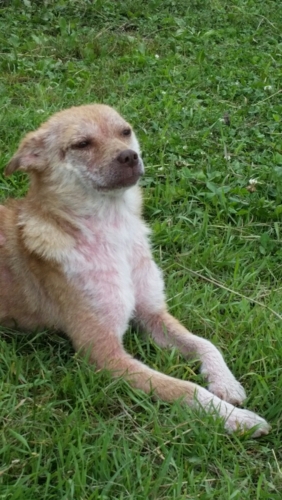 f:id:zion_hamanaka:20150723130537j:image f:id:zion_hamanaka:20150723130537j:image