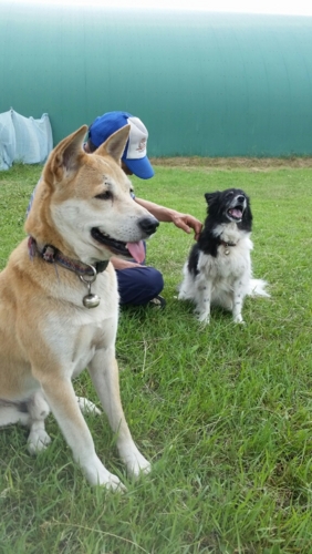 f:id:zion_hamanaka:20150723134346j:image f:id:zion_hamanaka:20150723134346j:image