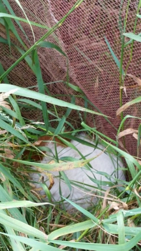 f:id:zion_hamanaka:20150728135722j:image f:id:zion_hamanaka:20150728135722j:image