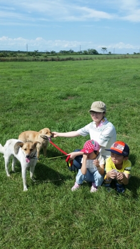 f:id:zion_hamanaka:20150802133727j:image f:id:zion_hamanaka:20150802133727j:image