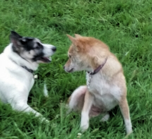 f:id:zion_hamanaka:20150813181138j:image f:id:zion_hamanaka:20150813181138j:image