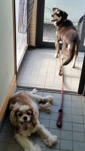 f:id:zion_hamanaka:20150829162337j:image
