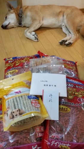f:id:zion_hamanaka:20150904203553j:image
