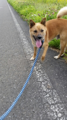 f:id:zion_hamanaka:20150909154757j:image