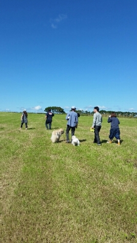 f:id:zion_hamanaka:20150921102245j:image f:id:zion_hamanaka:20150921102245j:image