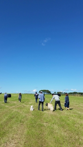 f:id:zion_hamanaka:20150921102249j:image