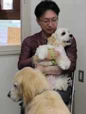 f:id:zion_hamanaka:20150923005542p:image