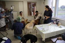 f:id:zion_hamanaka:20150923005546p:image