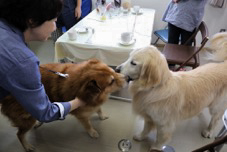 f:id:zion_hamanaka:20150923005547p:image