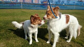 f:id:zion_hamanaka:20151021214523j:image