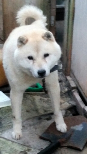 f:id:zion_hamanaka:20151022161933j:image f:id:zion_hamanaka:20151022161933j:image