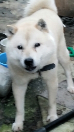 f:id:zion_hamanaka:20151022162401j:image f:id:zion_hamanaka:20151022162401j:image