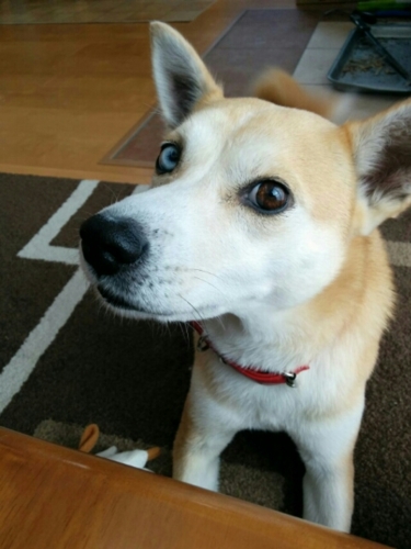 f:id:zion_hamanaka:20151025122921j:image f:id:zion_hamanaka:20151025122921j:image