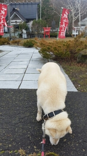 f:id:zion_hamanaka:20151110110823j:image