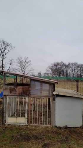f:id:zion_hamanaka:20151216152151j:image f:id:zion_hamanaka:20151216152151j:image
